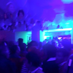 11047877_10205455978790493_900043518329100616_n