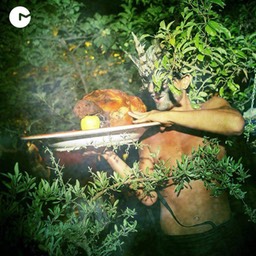 246737_4417856406062_425110881_n