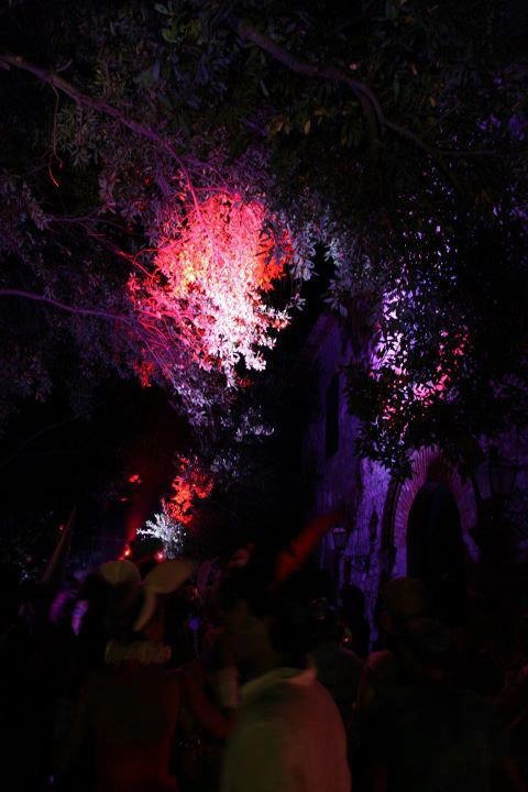 270688_4419265561290_2025954065_n