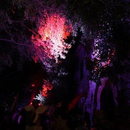 270688_4419265561290_2025954065_n