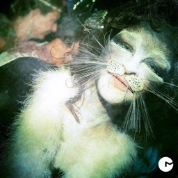 377247_4417859326135_1835408773_n