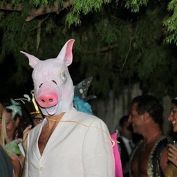 377896_4419173398986_742990536_n