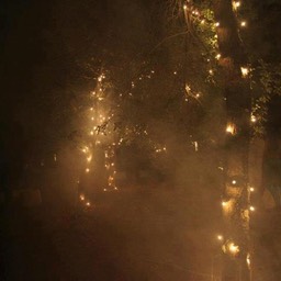 396561_4419168878873_1079699685_n