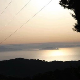 427934_4419212919974_1343784163_n