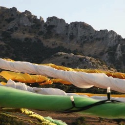 538848_4419277801596_560940718_n