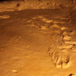 551883_4419236480563_40600581_n