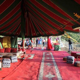 561657_4419148598366_865113092_n