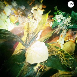 577043_4417859806147_1278740245_n