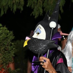 578420_4419305722294_637005516_n