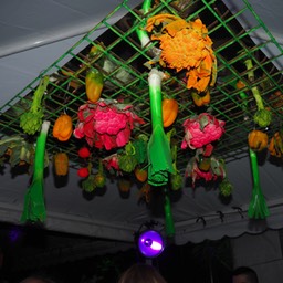 PC020445